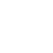 913 954 983